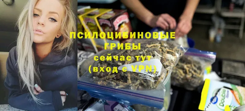 закладки  Верхний Уфалей  Галлюциногенные грибы мухоморы 